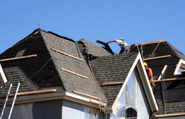 Professional Roofing Contractor Professional Roofing Contractor