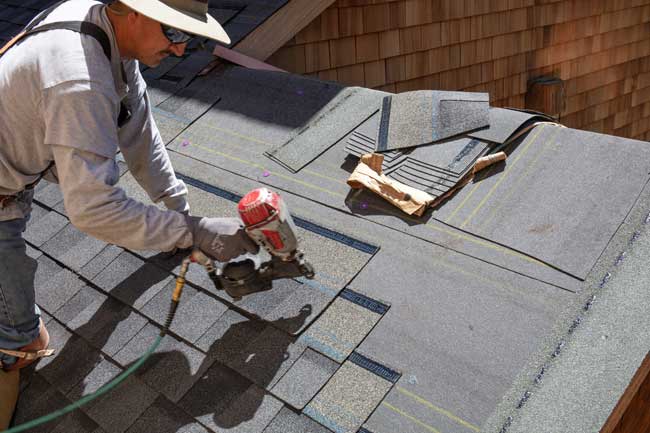 Shingle Roof Replacement